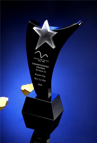 Classic Black Glass Star Trophy