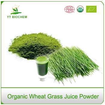 Freeze Dried 100% Organic Wheatgrass Juice Powder