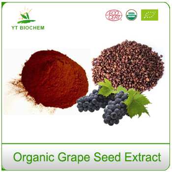 Best Natural Organic Grape Seed Extract Powder
