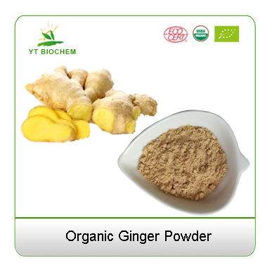 Organic Ginger Powder  Dry Ginger Powder picture