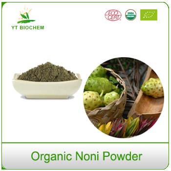 Superfruit Raw Organic Noni Fruit Powder