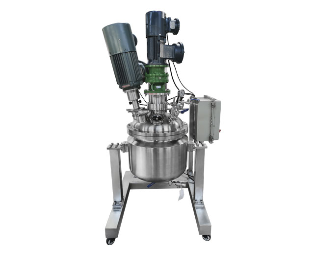 AMM-50S LAB VACUUM REACTOR picture