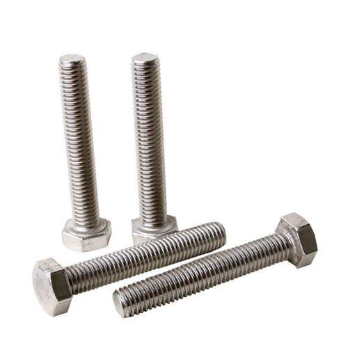 Stainless Steel Hex Bolt