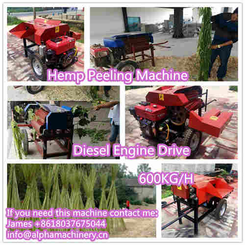 Sisal pineapple banana stem abaca hemp peeling machine