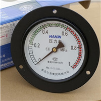 Pressure Gauges with Brass or Stainless Steel