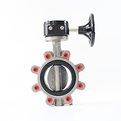 SS304/316 Stainless steel lug butterfly valve