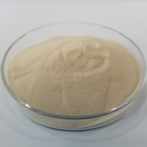 Amino acid plant fertilizer