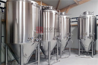 DEGONG 1000-3000L conical fermenters