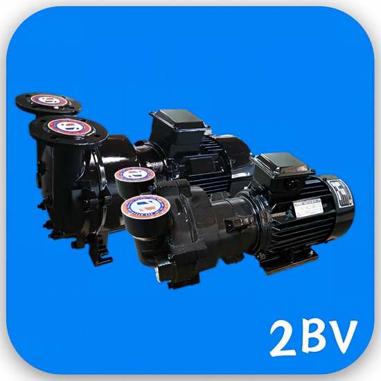 2BV Water Ring Vacuum Pump for Plastic Processing Equipment