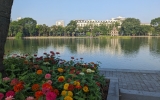 1000011708